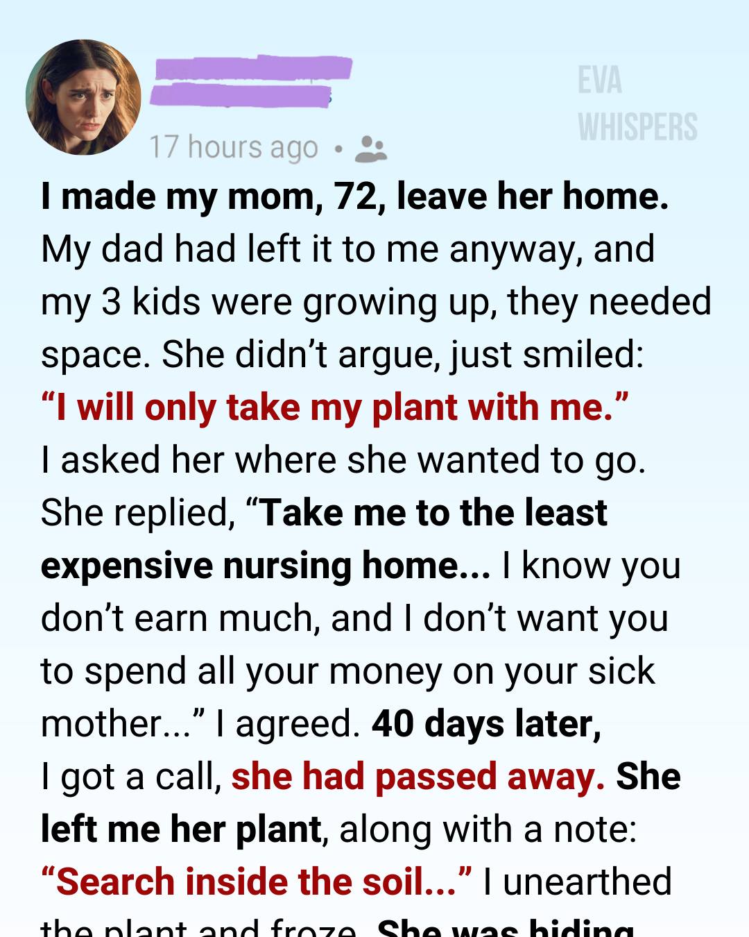 I Sent My Sick Mother to the Cheapest Nursing Home—After Her Death, Her Plant Broke Me