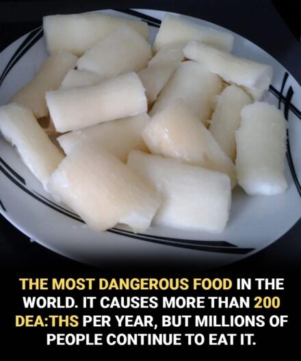 Over 200 People Are Killed by the “World’s Deadliest Food” Every Year — But Nearly 500 Million Still Eat It