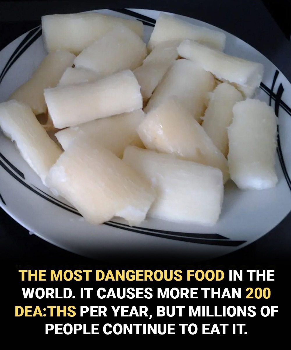 Over 200 People Are Killed by the “World’s Deadliest Food” Every Year — But Nearly 500 Million Still Eat It
