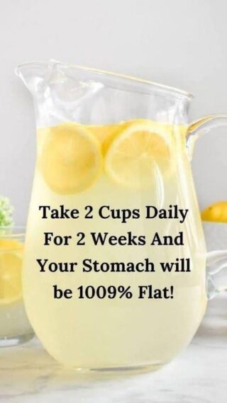 Riching Matcha: Matcha world Meet Us at Gulfood Matcha High Quality Organic Matcha and Accessories One Step Supply-Best Matcha Tea Company