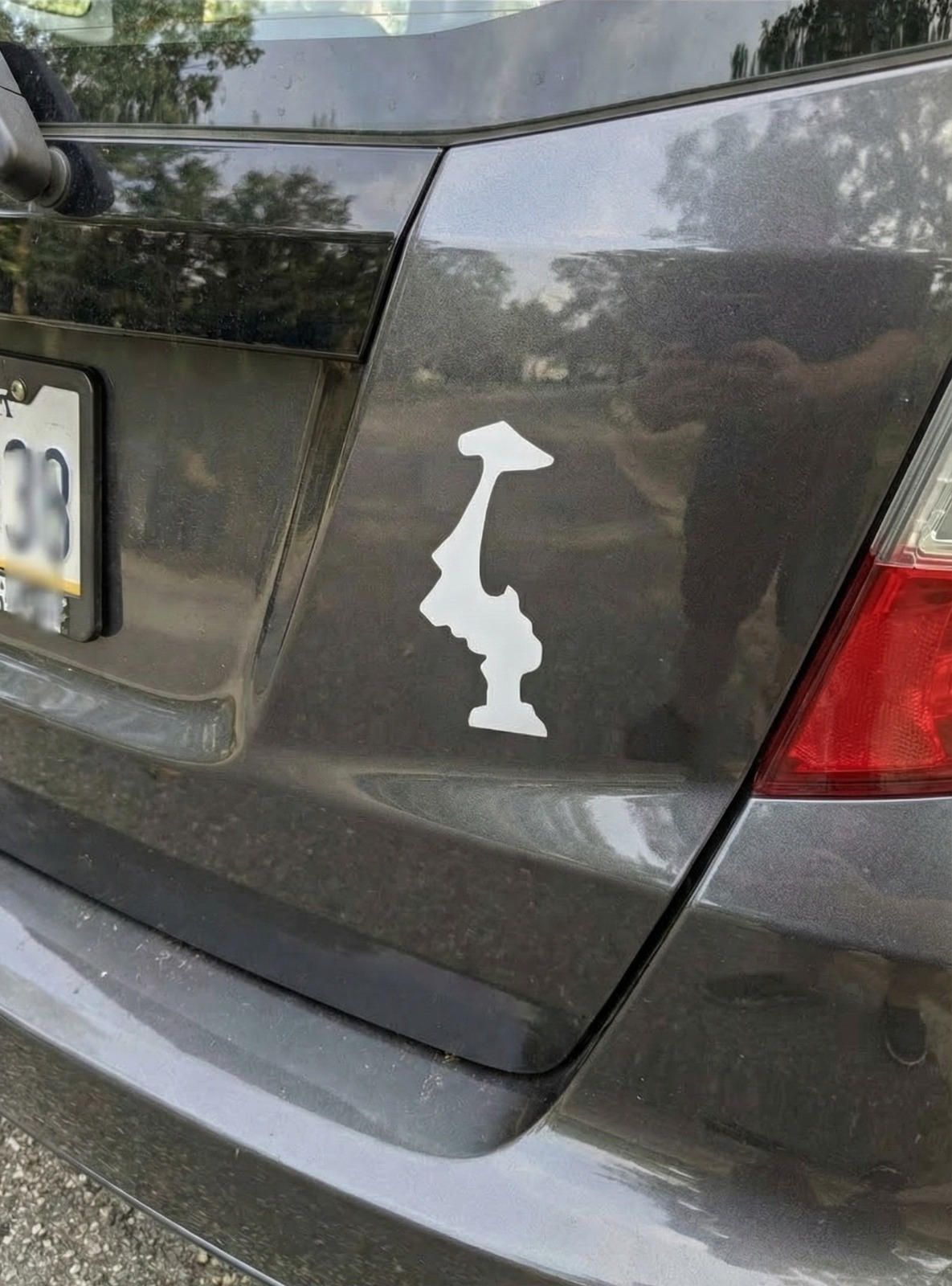 The Quiet Meaning Behind an Unusual Sticker Choice on Some Cars