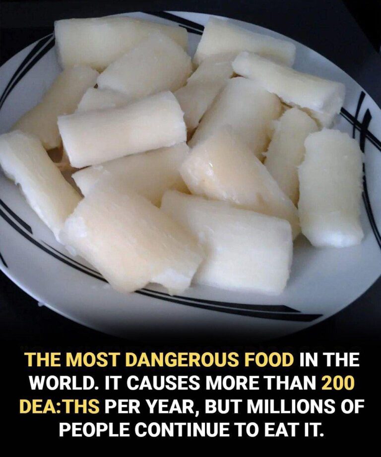 Cassava and Cyanide: What Older Adults Should Know to Keep This Popular Food Safe