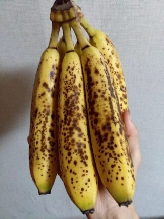 Is a Banana a Good Breakfast Choice? Here’s What Experts Suggest