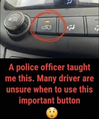 The Hidden Role of the Air Recirculation Button in Your Driving Experience