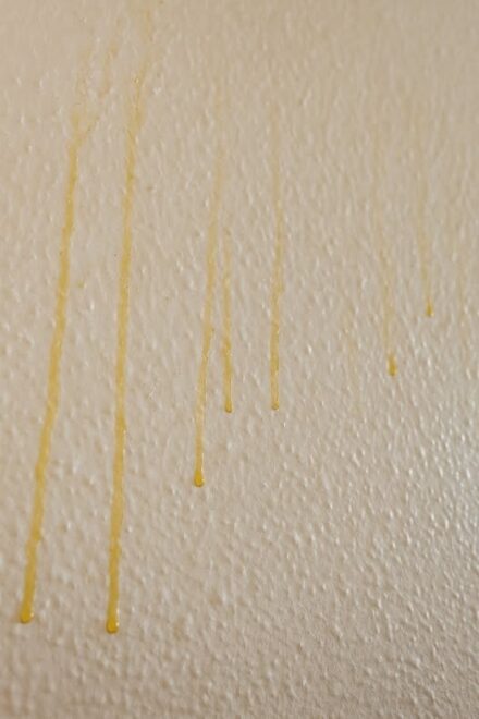 Yellow Stuff Starts Dripping Down Your Bathroom Walls? Here’s What It Might Be