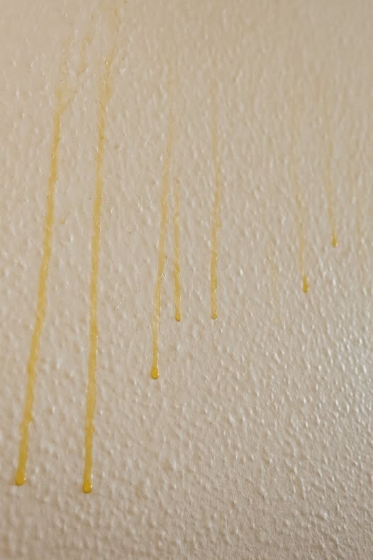 Yellow Stuff Starts Dripping Down Your Bathroom Walls? Here’s What It Might Be