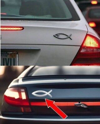 What does the small fish-shaped symbol on the back of some cars mean and what is it for?