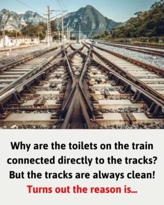Waarom zijn de toiletten in de trein direct verbonden met de rails? Maar de rails zijn altijd schoon!