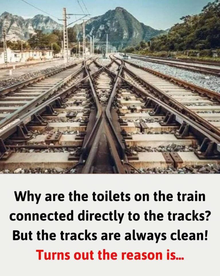 Waarom zijn de toiletten in de trein direct verbonden met de rails? Maar de rails zijn altijd schoon!