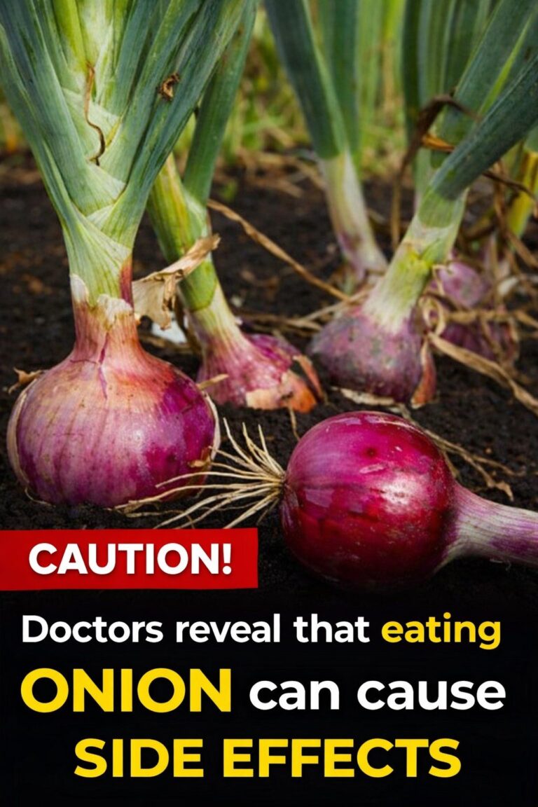 Are Onions Harmful? Benefits, Possible Side Effects, and Safe Consumption