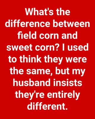 Comparing Field Corn and Sweet Corn