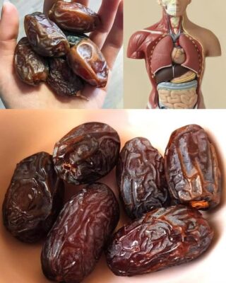 A Healthy and Delicious Way to Enjoy Dates in Your Diet