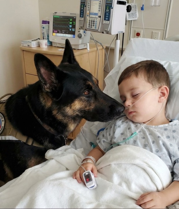 The boy was being kept alive only by machines, and the doctors had already lost hope, but as soon as his dog entered the room, everything changed.
