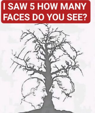 Very Few People Can Spot Every Hidden Face in This Tree Can You?