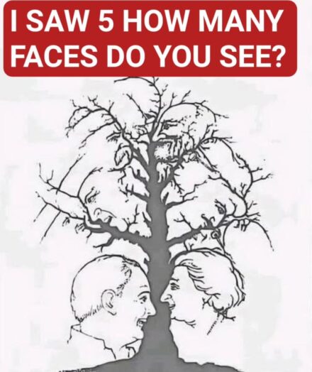 Very Few People Can Spot Every Hidden Face in This Tree Can You?