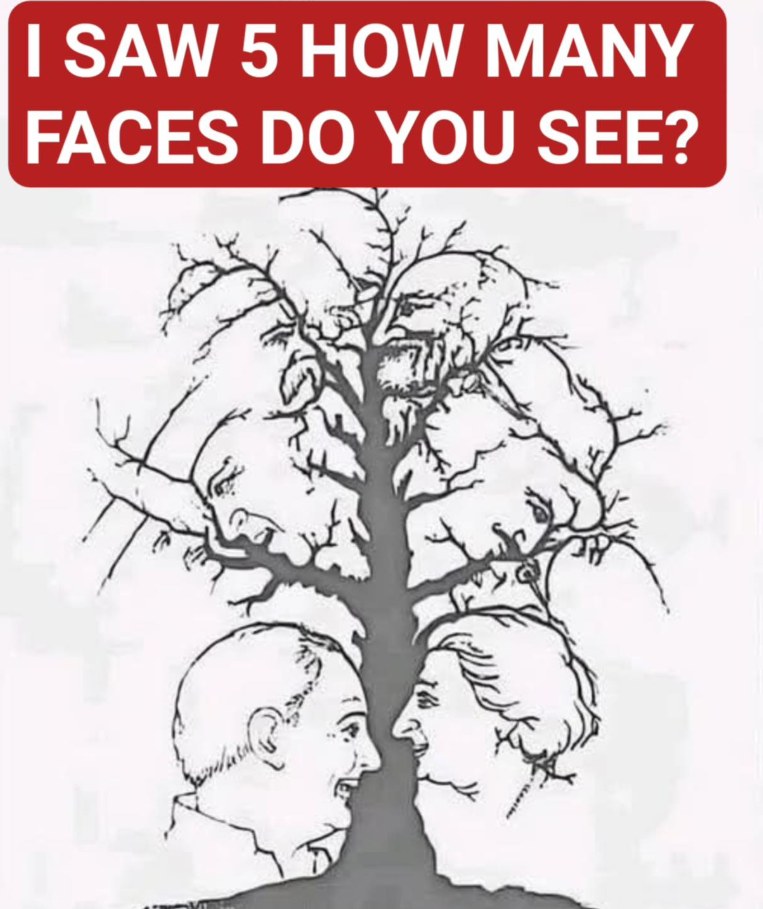 Very Few People Can Spot Every Hidden Face in This Tree Can You?