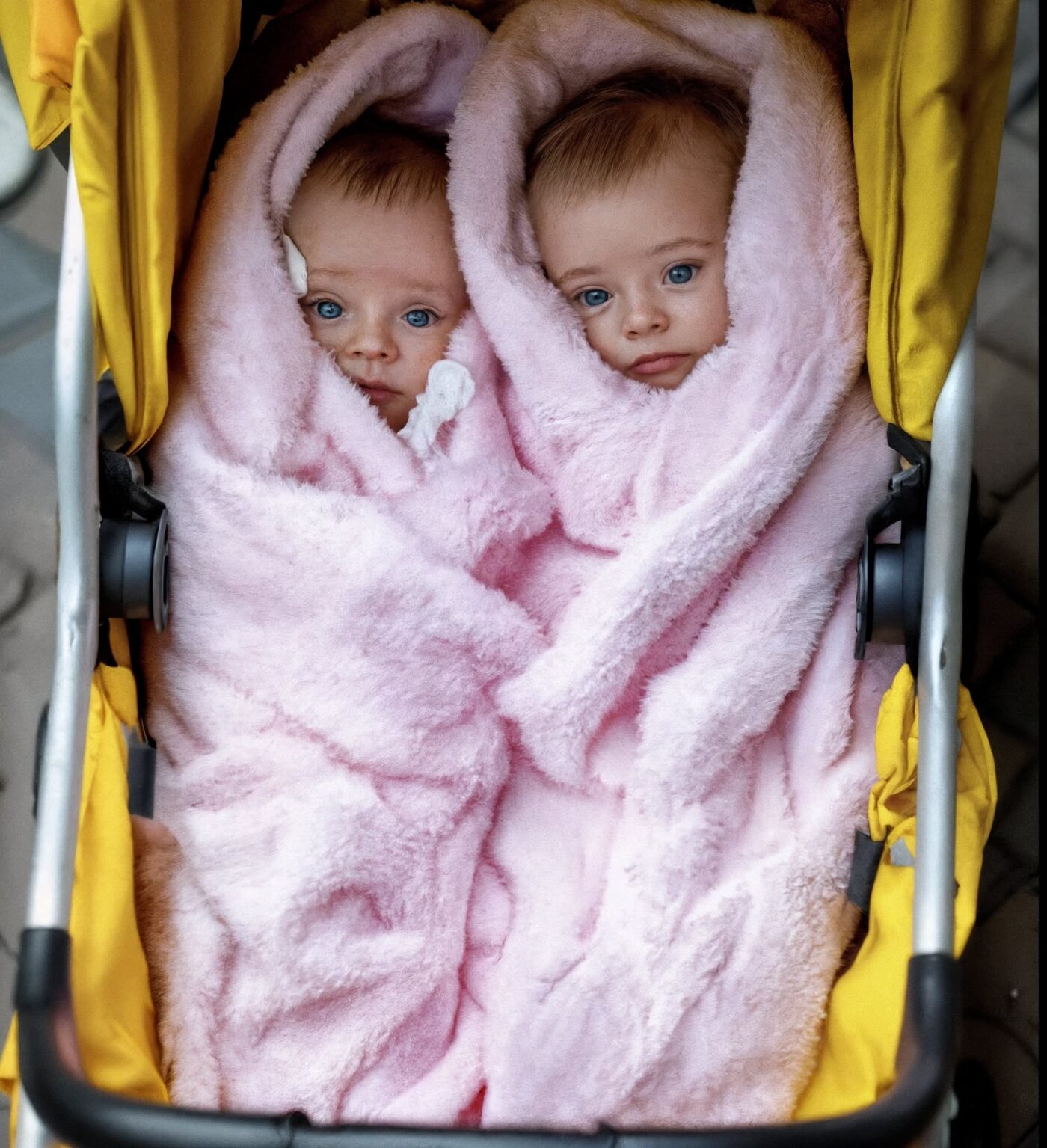 My teenage daughter surprised me by bringing home newborn twins; then a lawyer called me about a $4.7 million inheritance