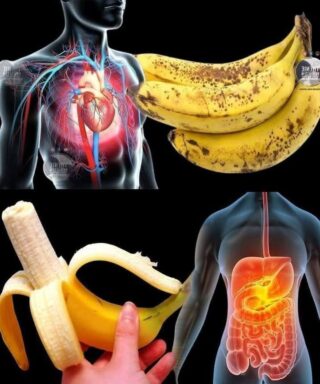 The Surprising Truth About Bananas: Nature’s Mood Booster in a Peel