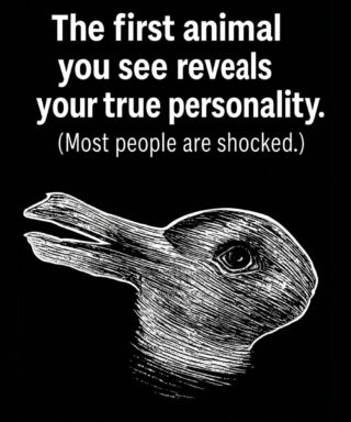 What the First Animal You Notice May Say About Your Personality