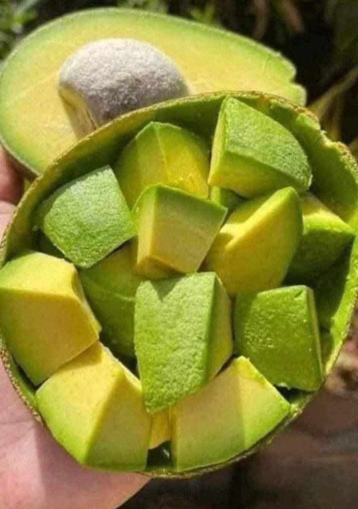 Doctors Reveal Avocado Consumption Causes!