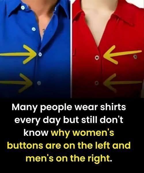 The Real Reason Women’s Shirts Button Differently from Men’s