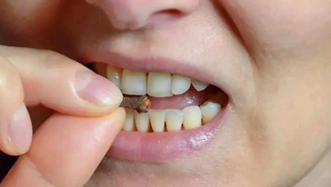 Chewing cloves every day: a small habit with considerable health benefits