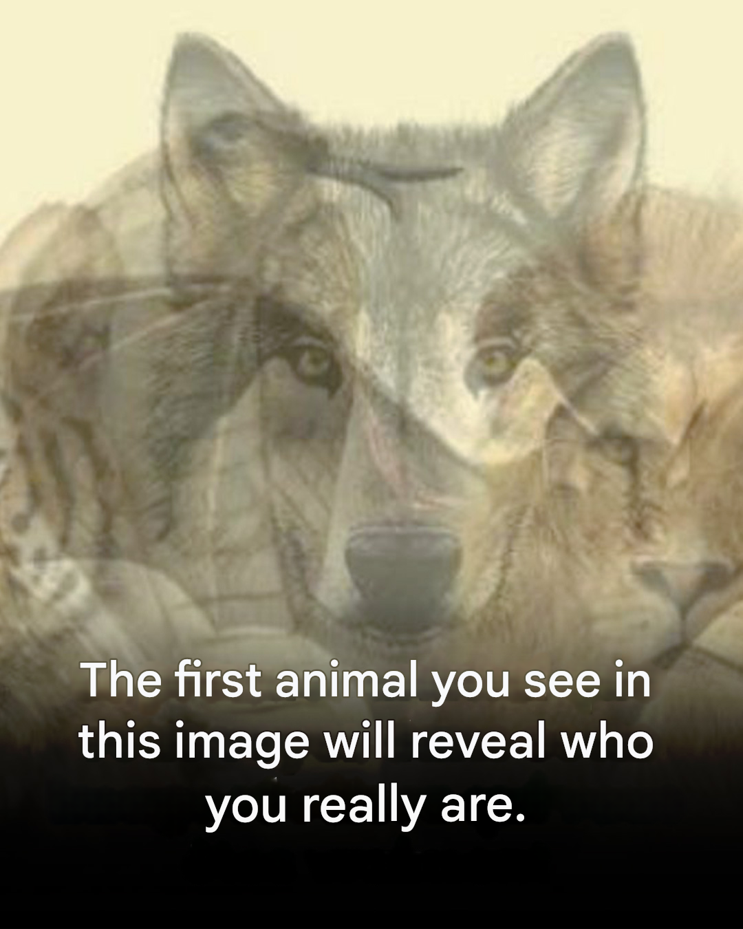 The first animal you see in this image will reveal who you are.