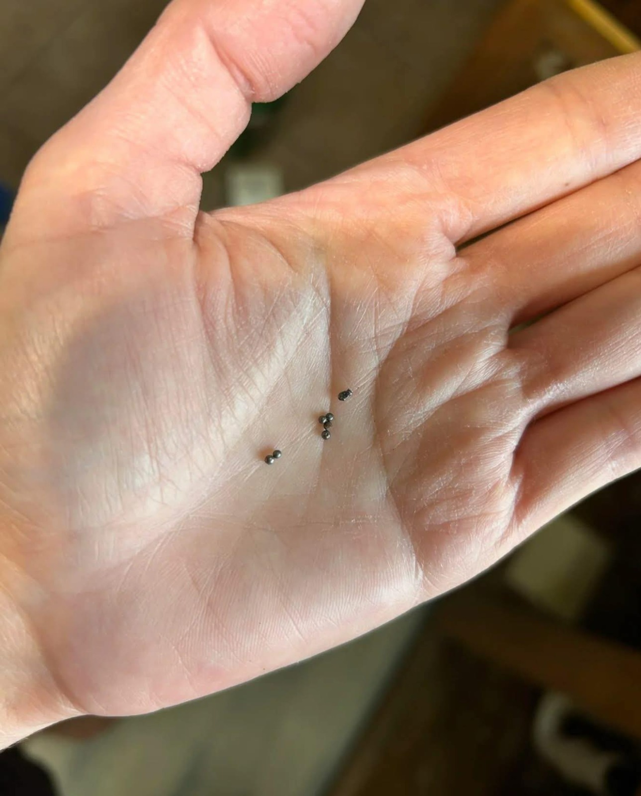 Found Metal Balls Under Your Kitchen Sink? Here’s What They Mean