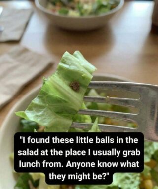 I Almost Ate This Until I Looked Closer — A Reminder to Always Check Your Food