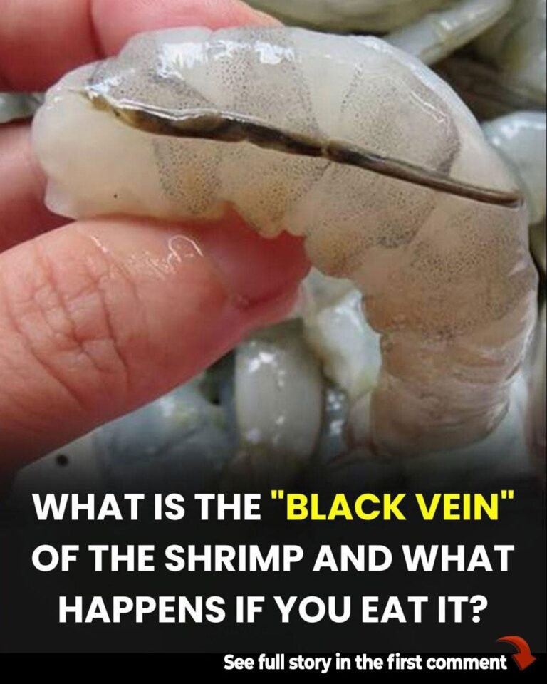 How To Prepare Shrimp and Why You Shouldn’t Eat That ‘Black Vein’