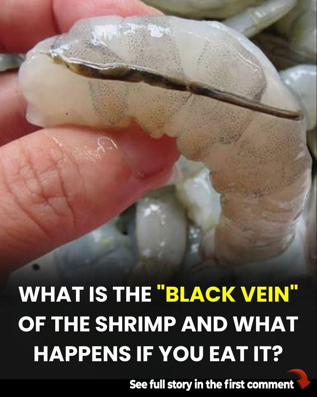 How To Prepare Shrimp and Why You Shouldn’t Eat That ‘Black Vein’