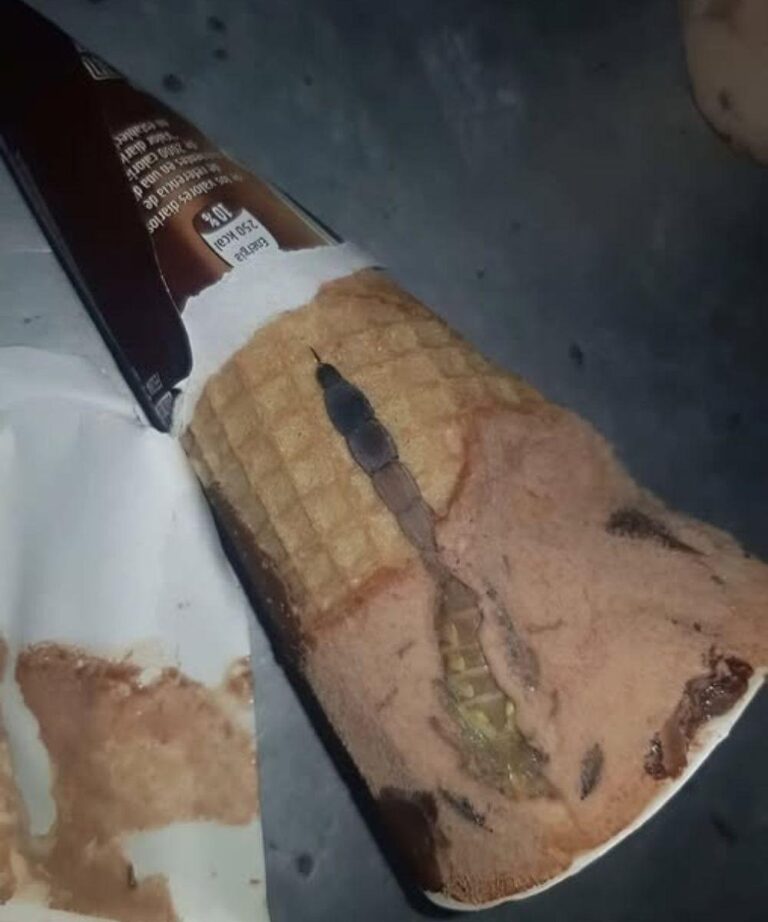Today my daughter opened her favorite chocolate ice cream
