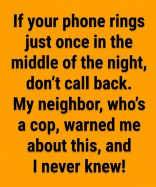 Think You’d Never Fall for a Phone Scam? The Subtle Warning Signs Most People Miss