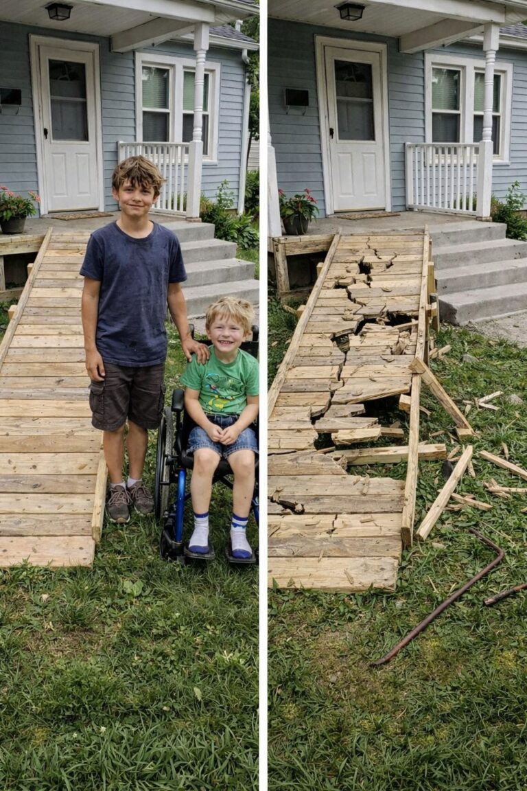 My Son Built a Ramp for the Boy Next Door — What Happened Next Shocked Everyone