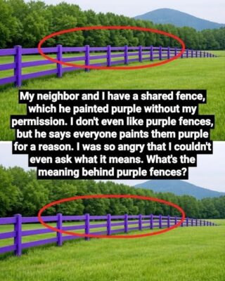 If You Spot a Painted Purple Fence, This Is What It Means