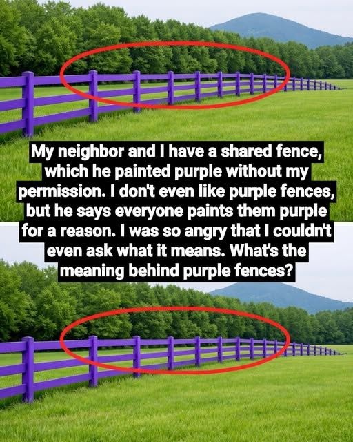 If You Spot a Painted Purple Fence, This Is What It Means
