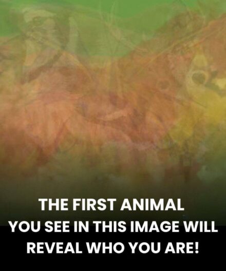 The Hidden Needs Your Brain Reveals